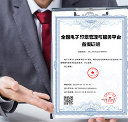 电子备案证明